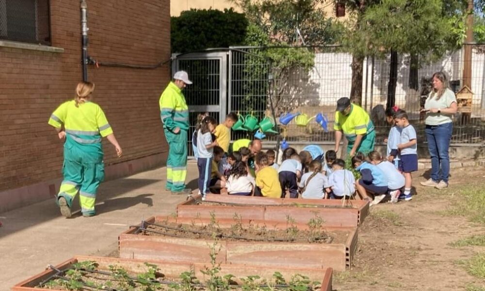 Les actuacions s'han centrat en el manteniment d'horts urbans i escolars i en la sensibilització sobre l'estalvi energètic i la gestió de residus